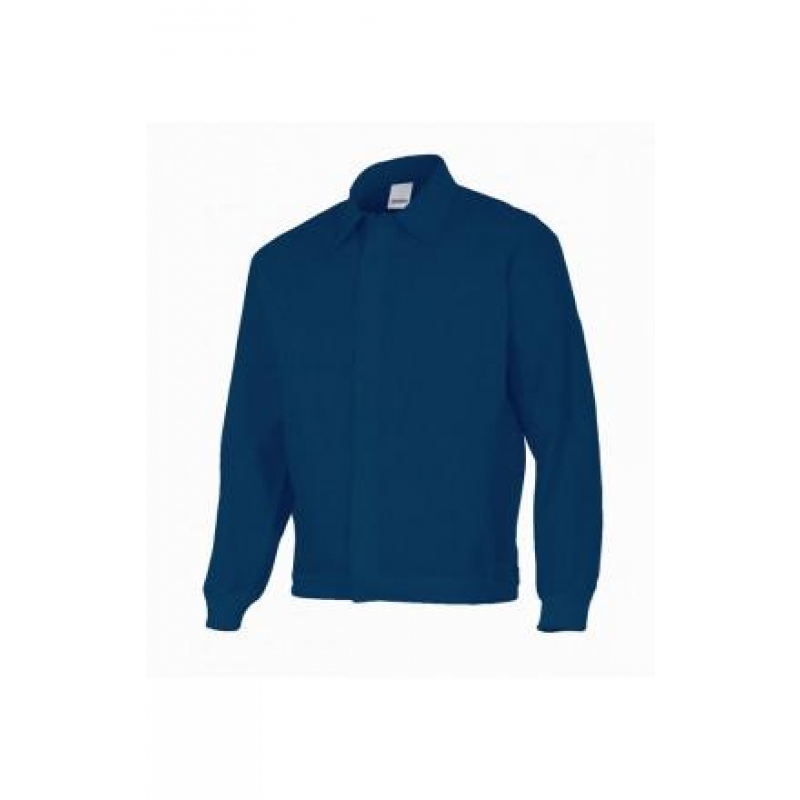 256001 BLU 256001 BLU